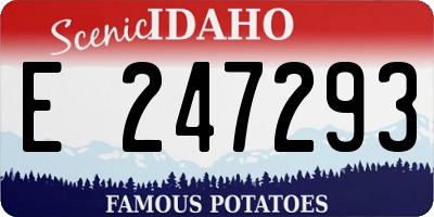 ID license plate E247293