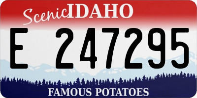 ID license plate E247295
