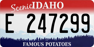 ID license plate E247299