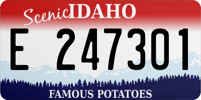 ID license plate E247301