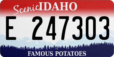 ID license plate E247303
