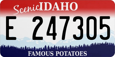 ID license plate E247305