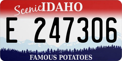 ID license plate E247306