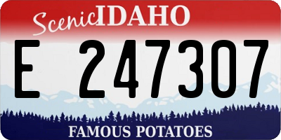 ID license plate E247307