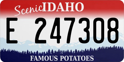 ID license plate E247308