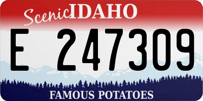 ID license plate E247309