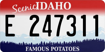 ID license plate E247311