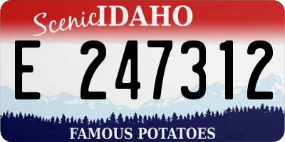 ID license plate E247312