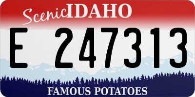 ID license plate E247313