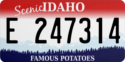 ID license plate E247314