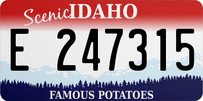 ID license plate E247315