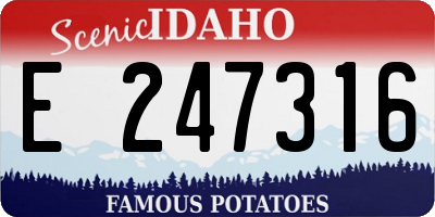ID license plate E247316