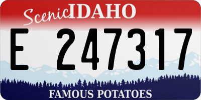 ID license plate E247317