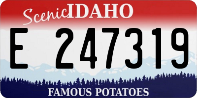 ID license plate E247319