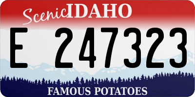 ID license plate E247323