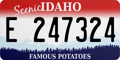 ID license plate E247324