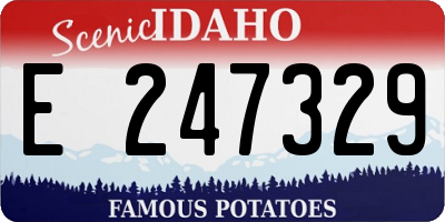ID license plate E247329