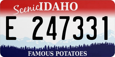 ID license plate E247331
