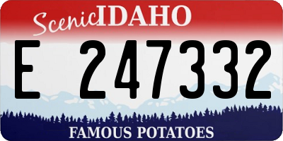 ID license plate E247332