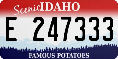 ID license plate E247333