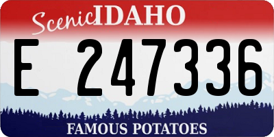 ID license plate E247336