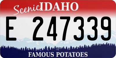 ID license plate E247339