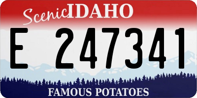 ID license plate E247341