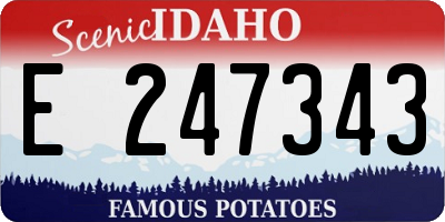 ID license plate E247343
