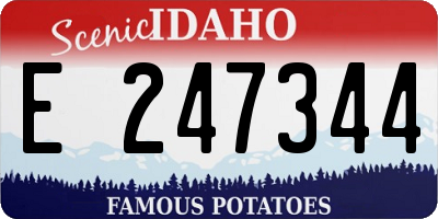 ID license plate E247344