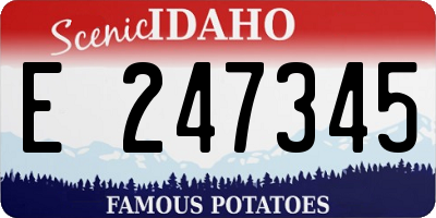 ID license plate E247345
