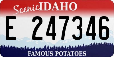 ID license plate E247346