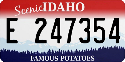 ID license plate E247354