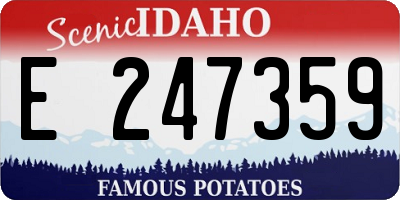 ID license plate E247359