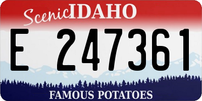 ID license plate E247361
