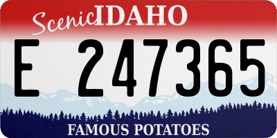 ID license plate E247365