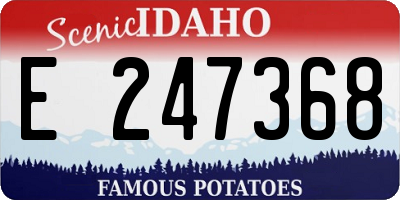 ID license plate E247368