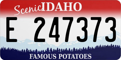 ID license plate E247373