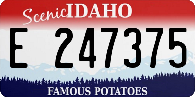 ID license plate E247375