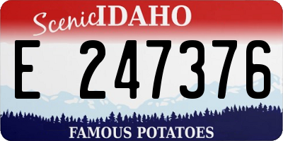 ID license plate E247376
