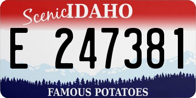 ID license plate E247381