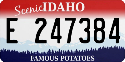 ID license plate E247384