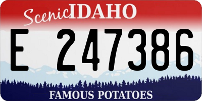 ID license plate E247386