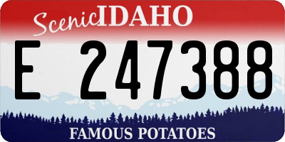 ID license plate E247388