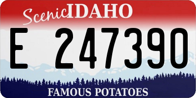 ID license plate E247390