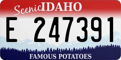ID license plate E247391