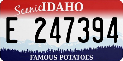 ID license plate E247394