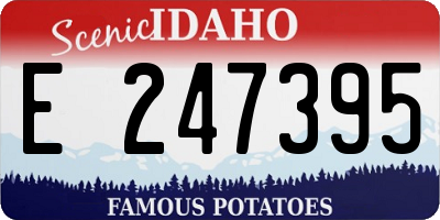 ID license plate E247395