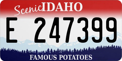 ID license plate E247399