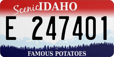 ID license plate E247401