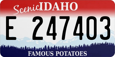 ID license plate E247403